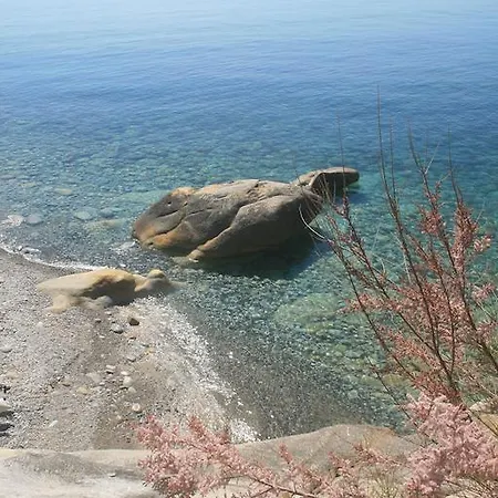 Hotell Sardi 3*
